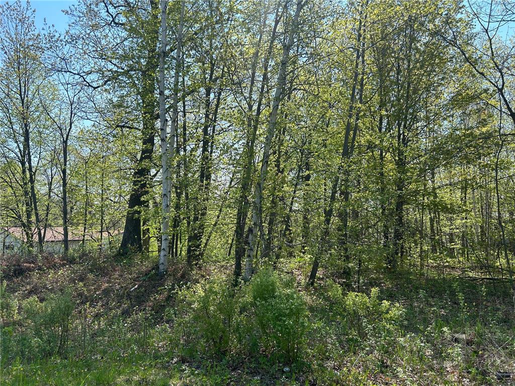 187XX Harbor Drive Garrison MN 56450 - Mille Lacs Lake 7084880 image13