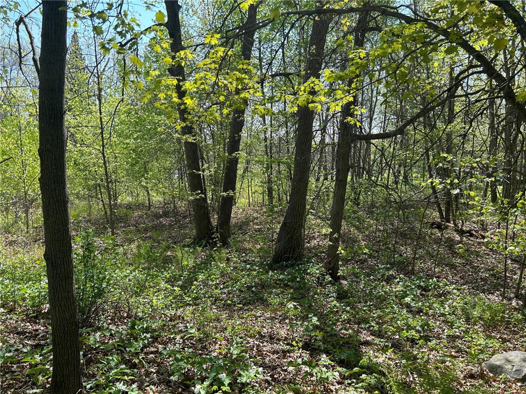 187XX Harbor Drive Garrison MN 56450 - Mille Lacs Lake 7084880 image14