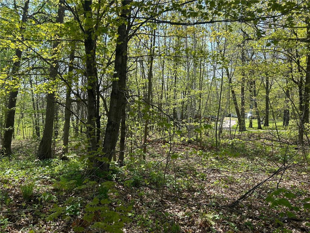 187XX Harbor Drive Garrison MN 56450 - Mille Lacs Lake 7084880 image15