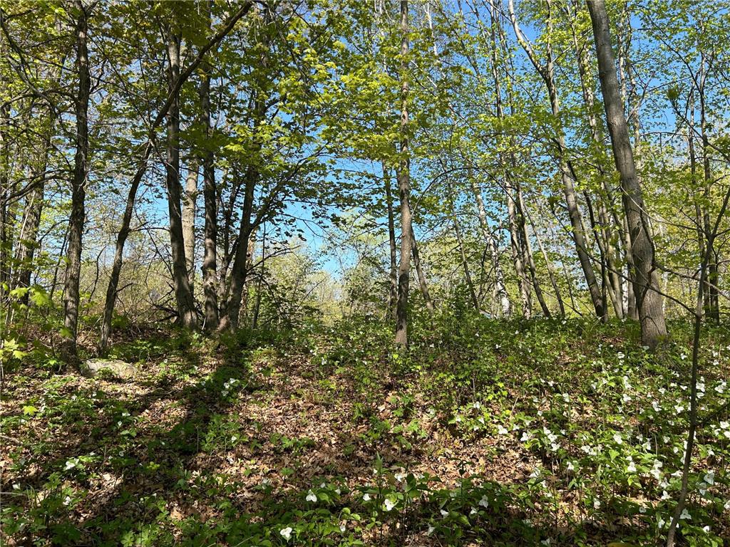 187XX Harbor Drive Garrison MN 56450 - Mille Lacs Lake 7084880 image17