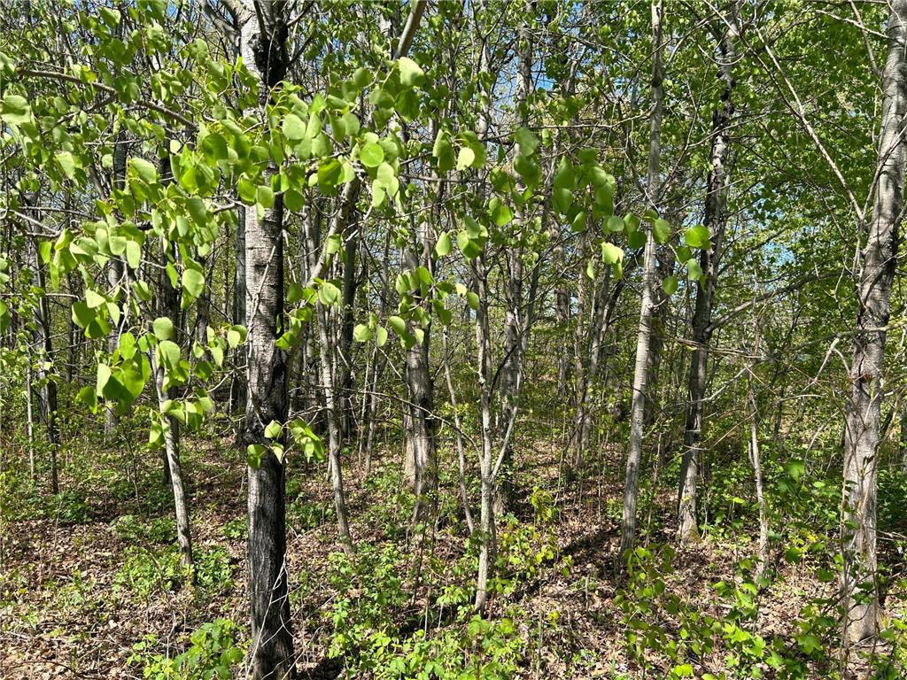 187XX Harbor Drive Garrison MN 56450 - Mille Lacs Lake 7084880 image18