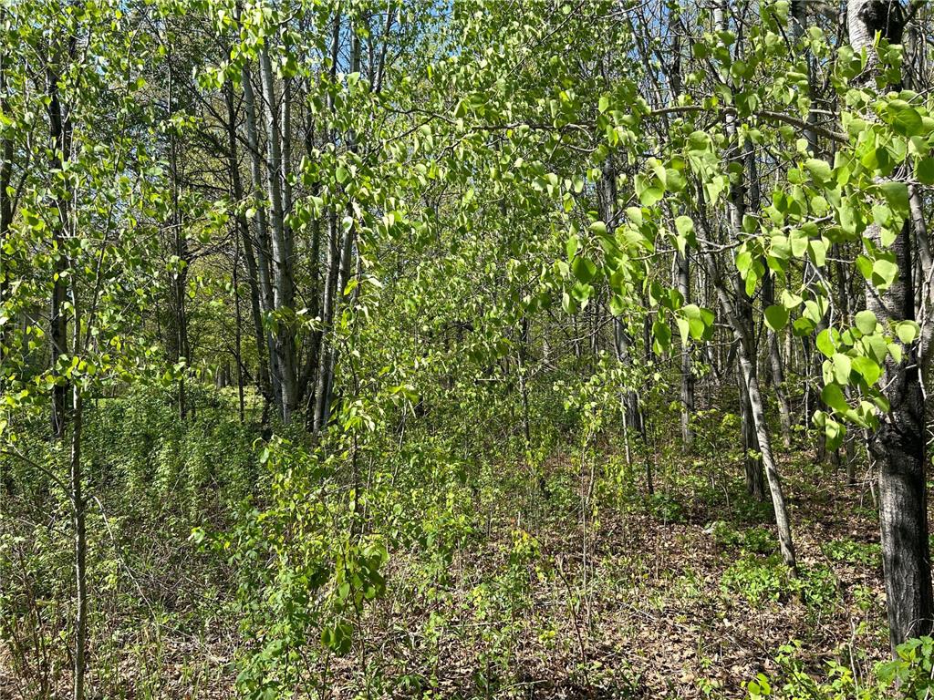 187XX Harbor Drive Garrison MN 56450 - Mille Lacs Lake 7084880 image19