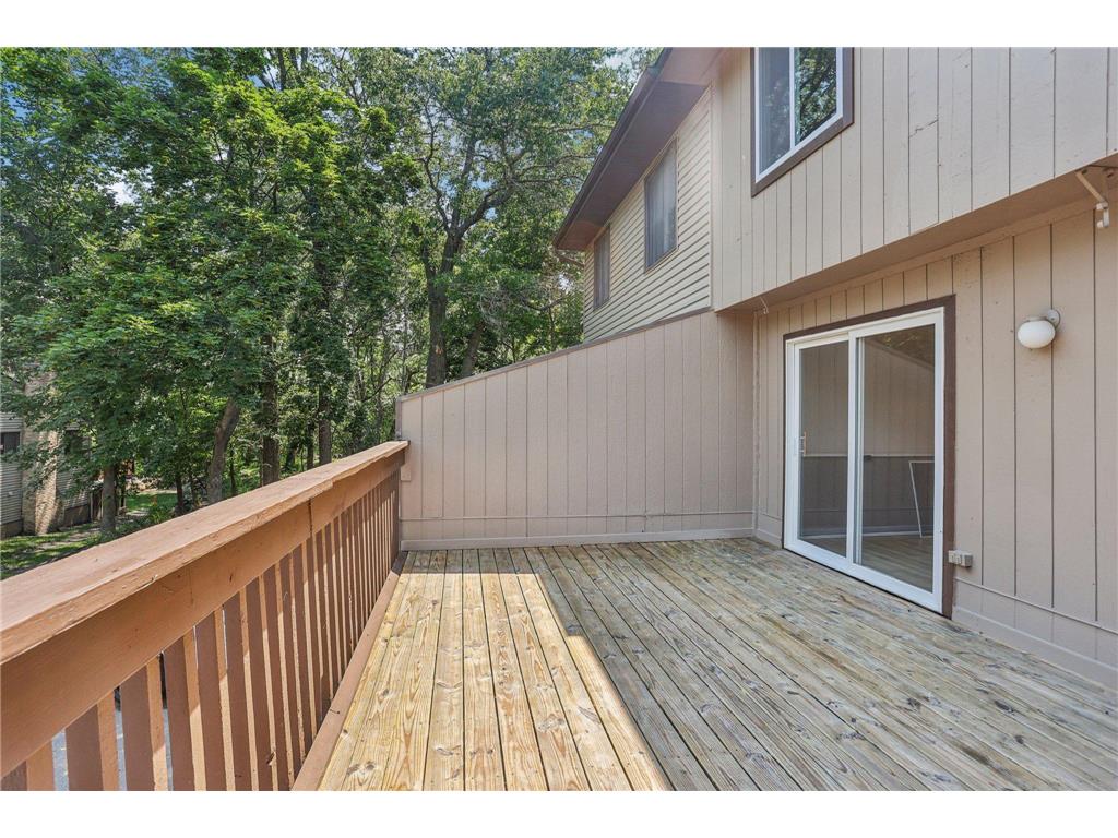 188 River Woods Lane Burnsville MN 55337 6812659 image35