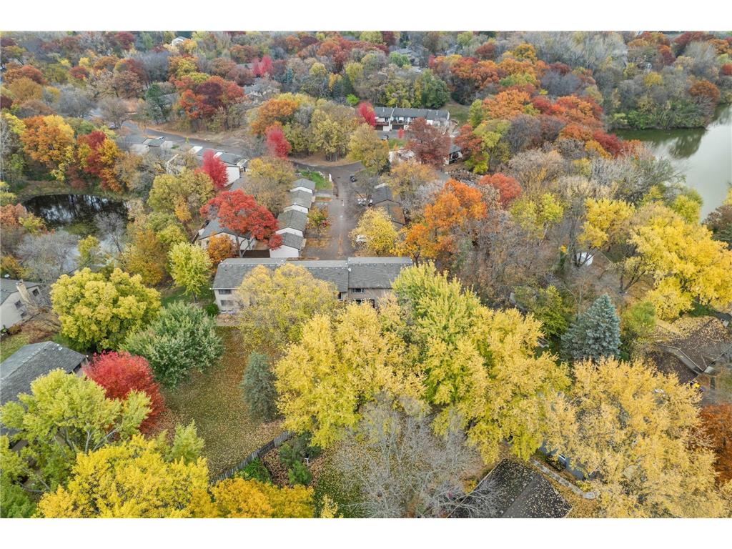 188 River Woods Lane Burnsville MN 55337 6812659 image39