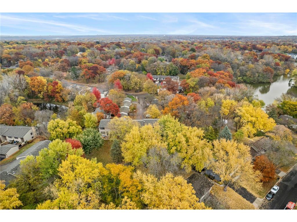 188 River Woods Lane Burnsville MN 55337 6812659 image40