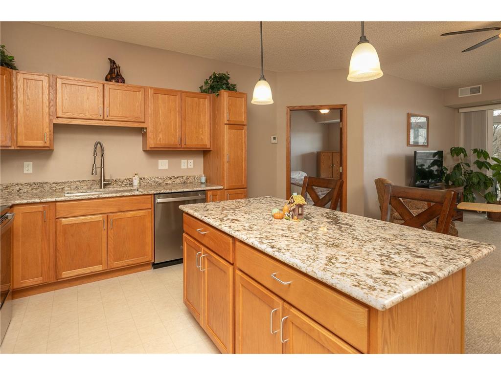 1880 3rd Avenue NW #310 Rochester MN 55901 - Zumbro River 7067115 image7