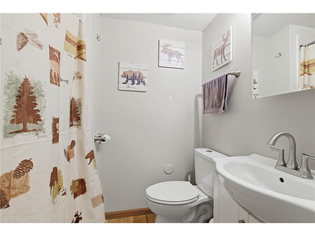 18821 English Avenue Farmington MN 55024 7071154 image19