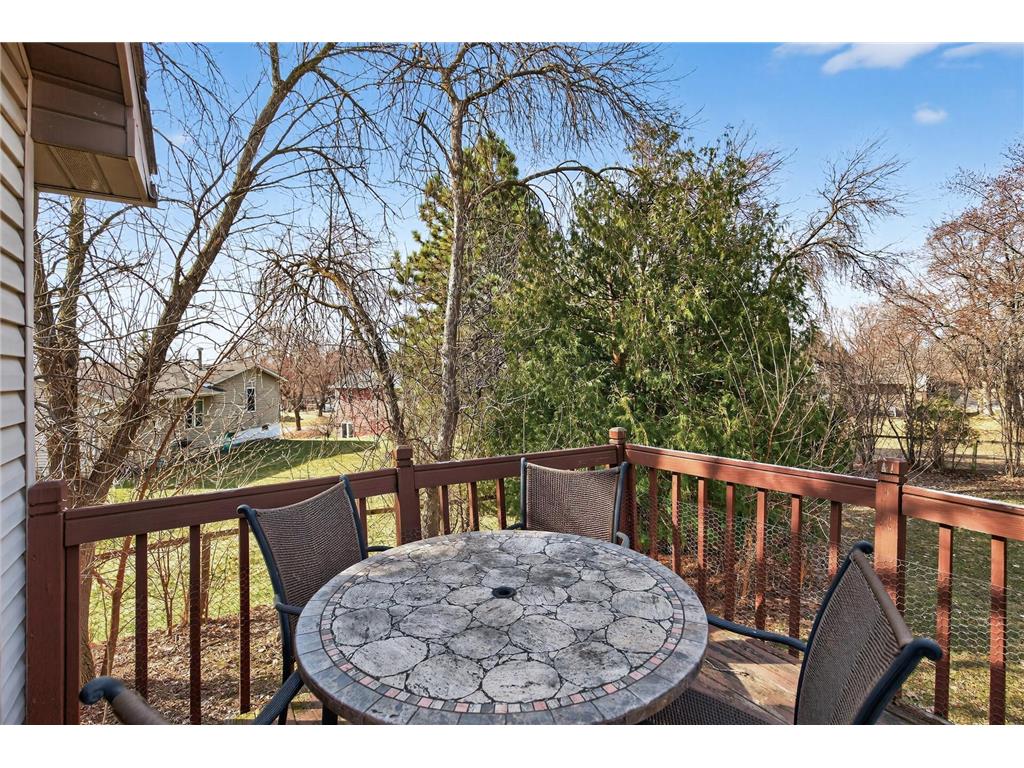 18821 Joplin Avenue Lakeville MN 55044 7039987 image46