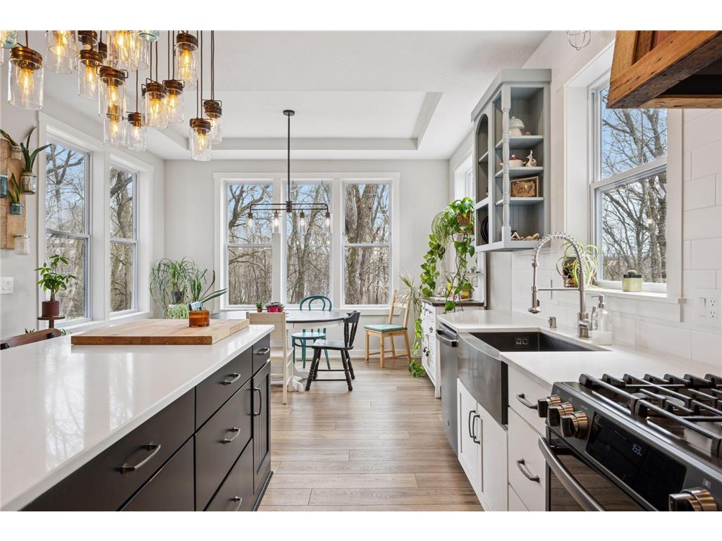 18837 Ogden Street NW Elk River MN 55330 - Upper Orono Lake 6690602 image25