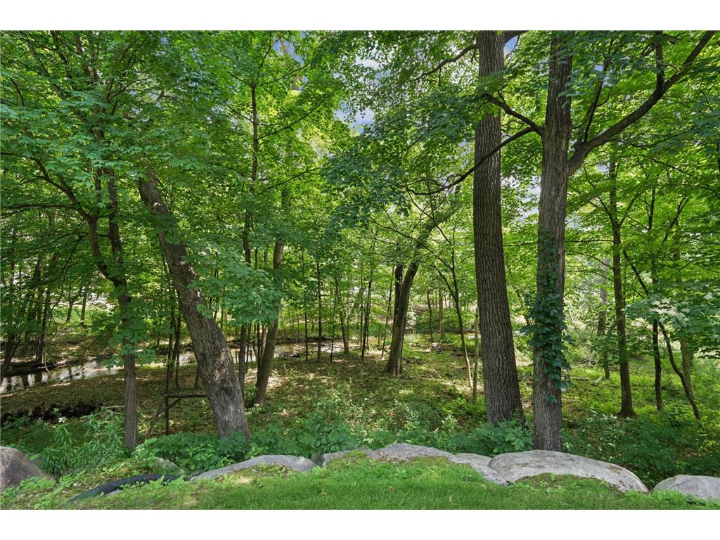 18844 Bearpath Trail Eden Prairie MN 55347 7011103 image61