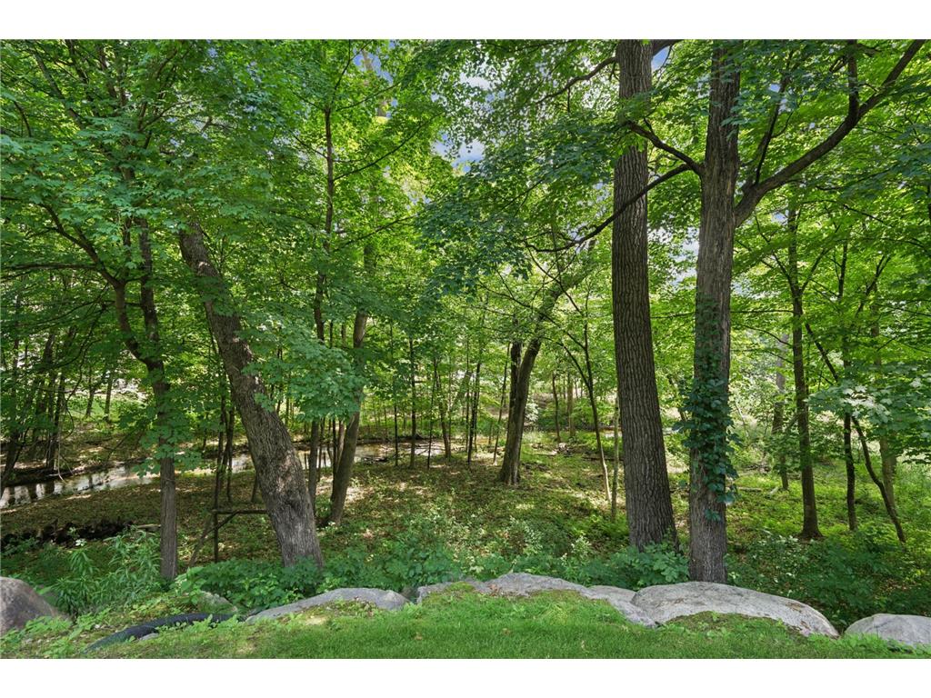 18844 Bearpath Trail Eden Prairie MN 55347 7084168 image58