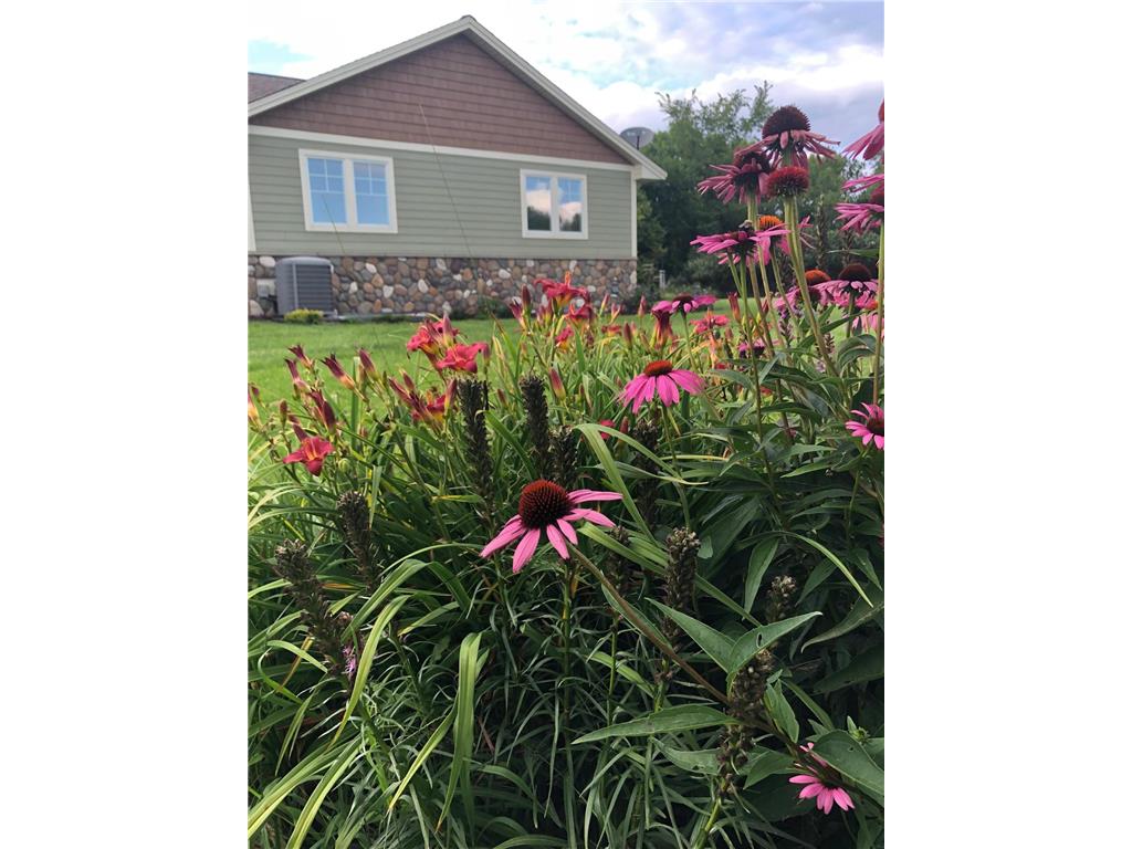 18850 Koetter Lake Road Richmond MN 56368 - Cedar Island 7039719 image49