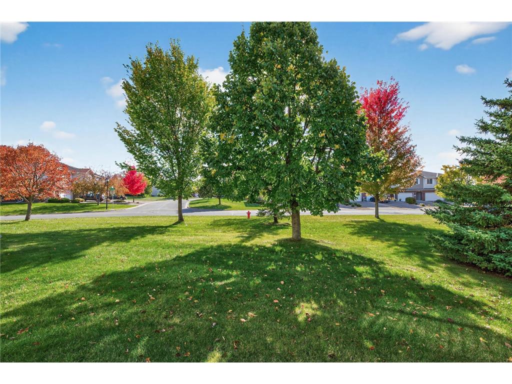 18851 Inca Avenue Lakeville MN 55044 7033364 image27