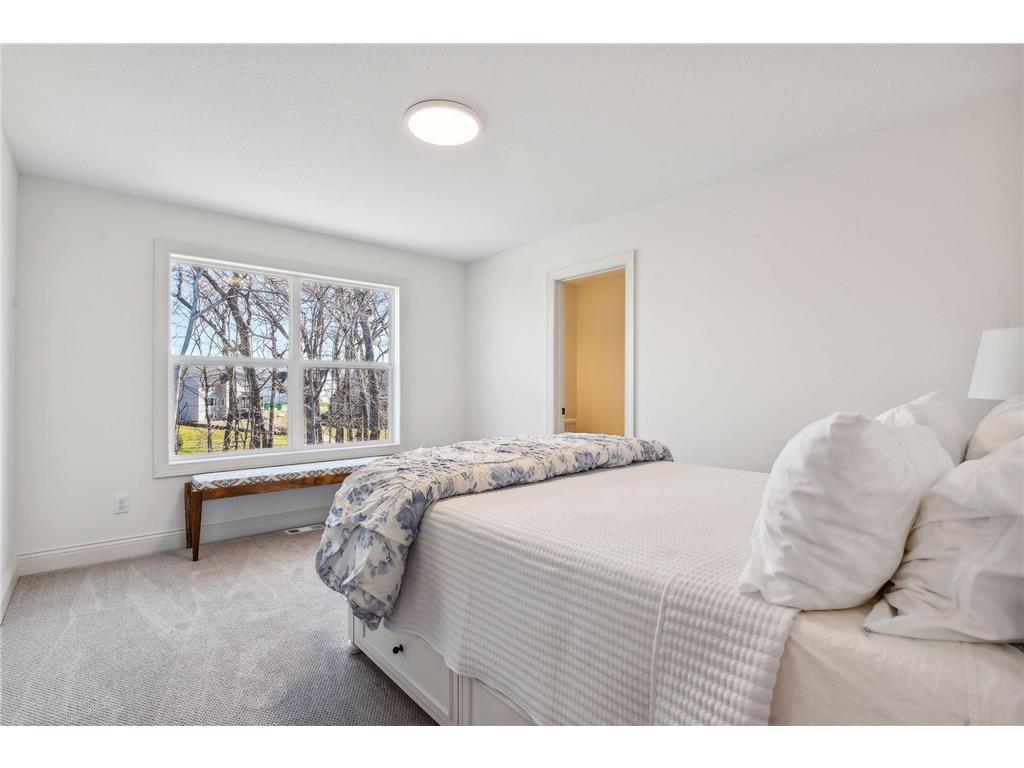 1886 Della Drive Chanhassen MN 55317 7034979 image41