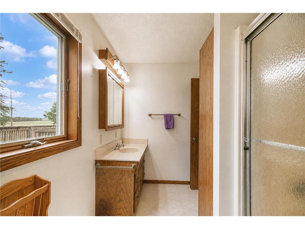 18863 890th Avenue Oakland Twp MN 56007 7079846 image21