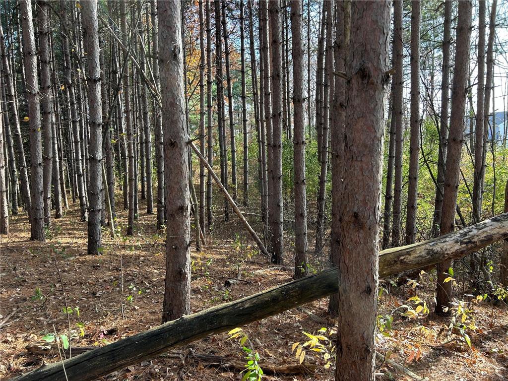 1888 80th Street Somerset WI 54025 6620079 image12