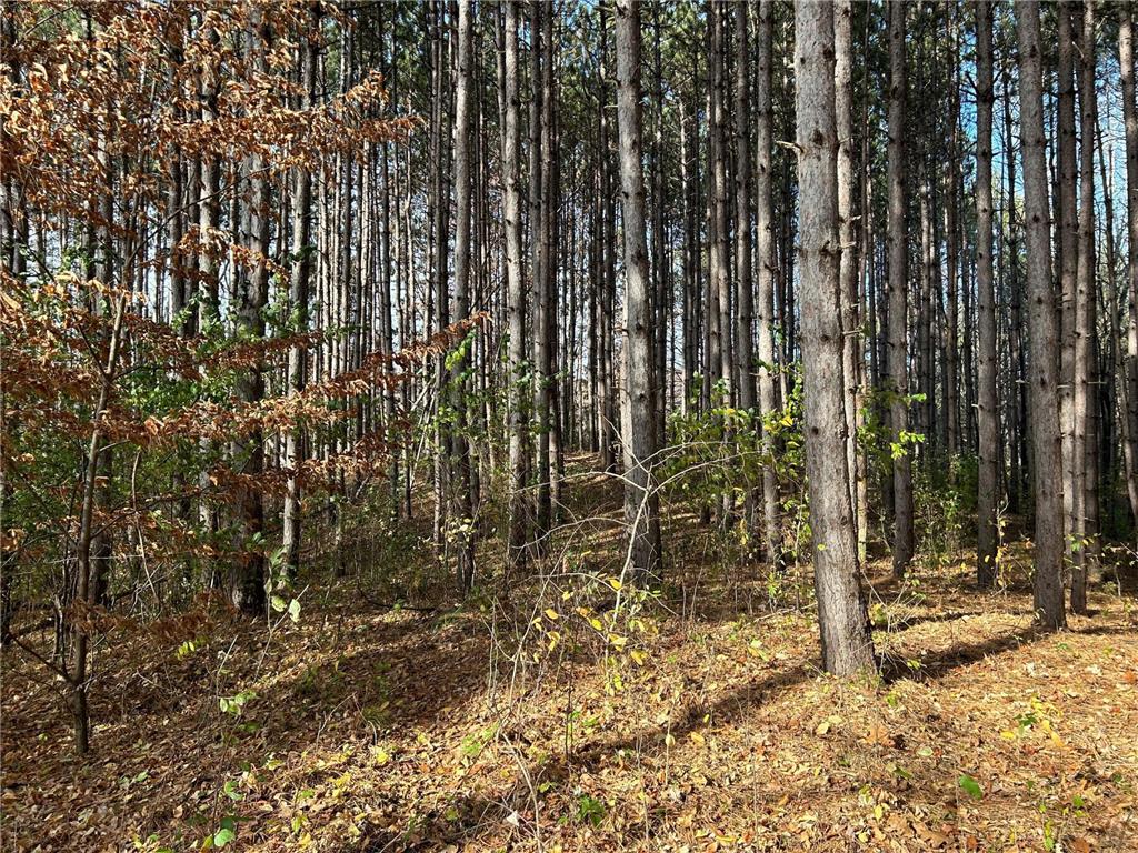 1888 80th Street Somerset WI 54025 6620079 image13