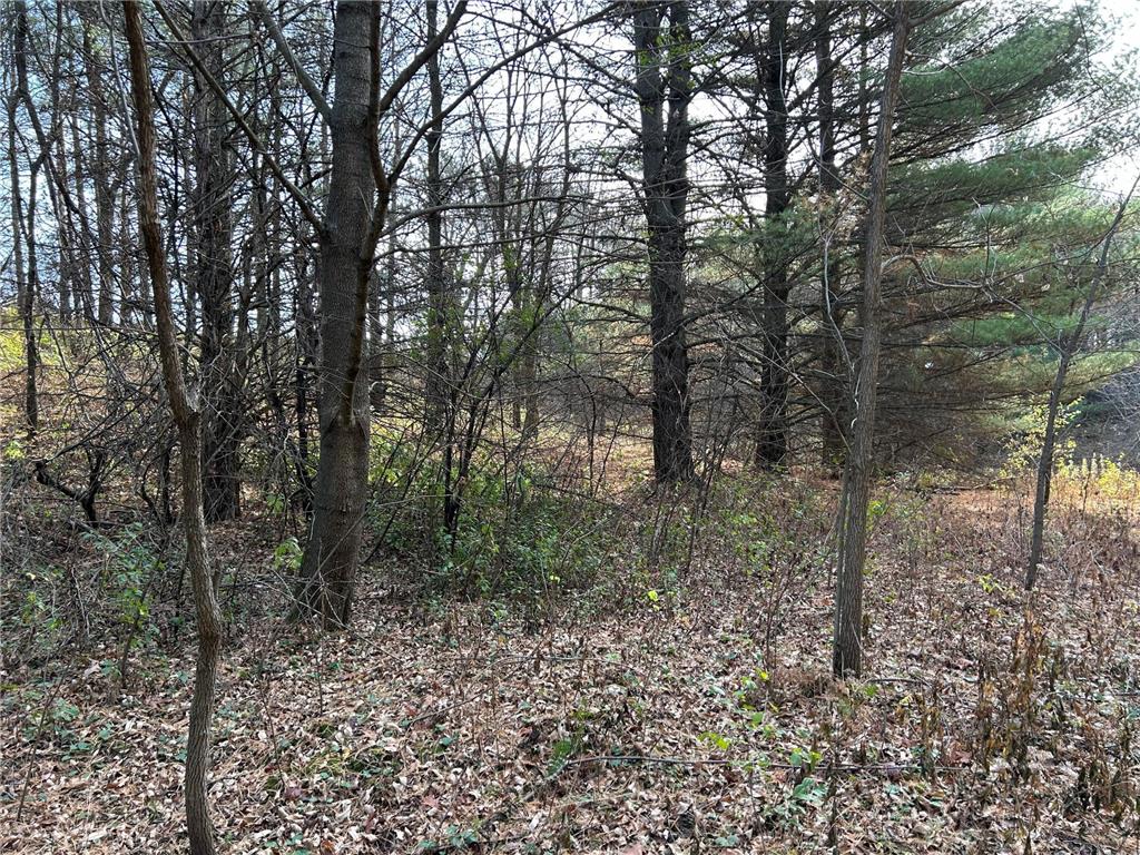 1888 80th Street Somerset WI 54025 6620079 image14