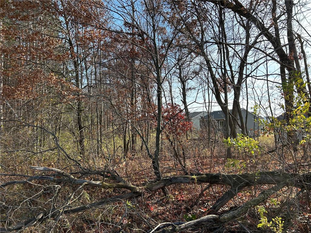 1888 80th Street Somerset WI 54025 6620079 image15