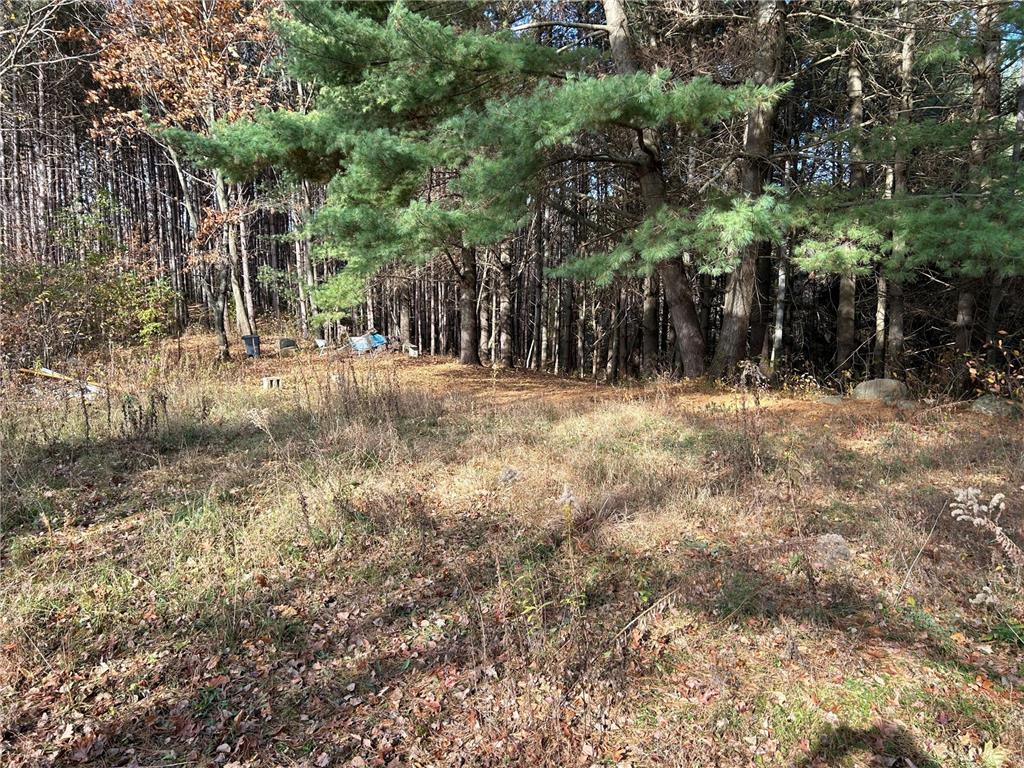 1888 80th Street Somerset WI 54025 6620079 image17