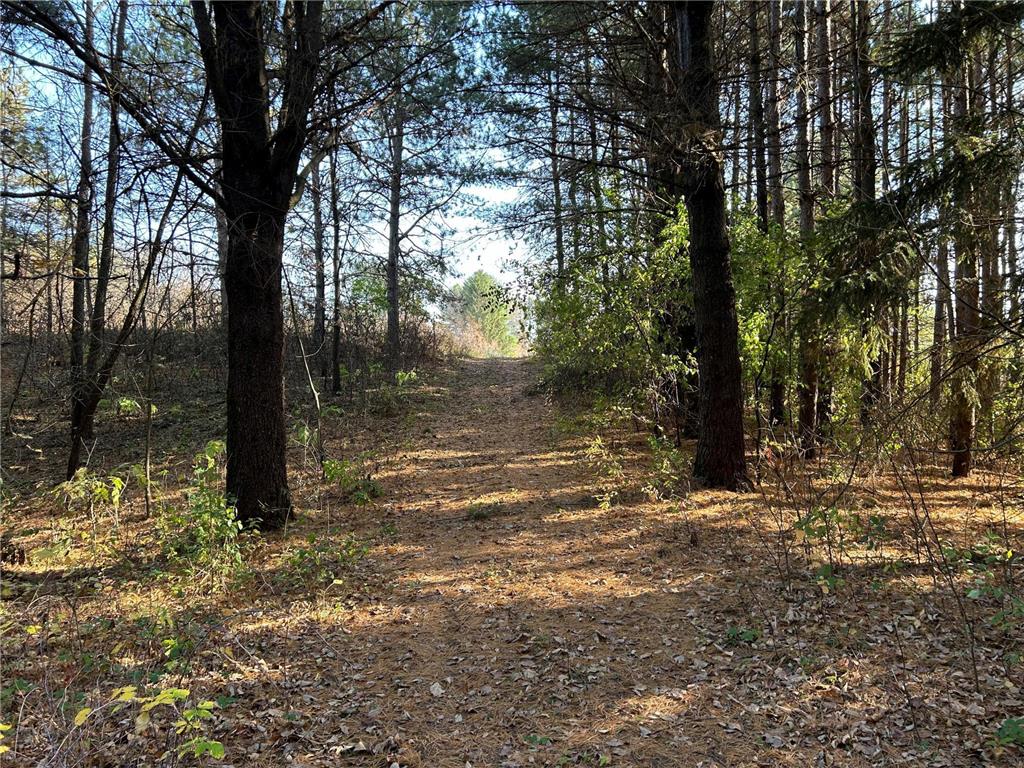 1888 80th Street Somerset WI 54025 6620079 image19