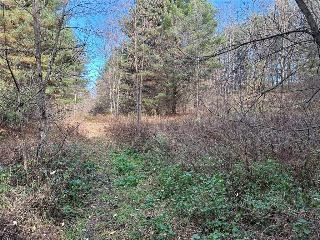 1888 80th Street Somerset WI 54025 6620079 image20