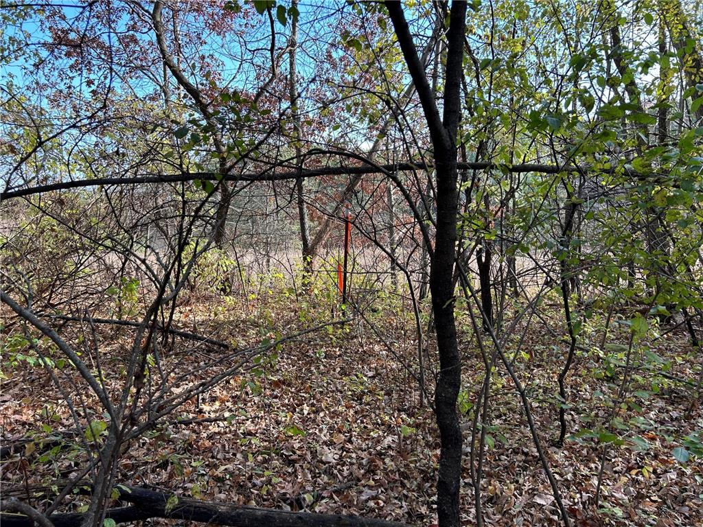 1888 80th Street Somerset WI 54025 6620079 image21