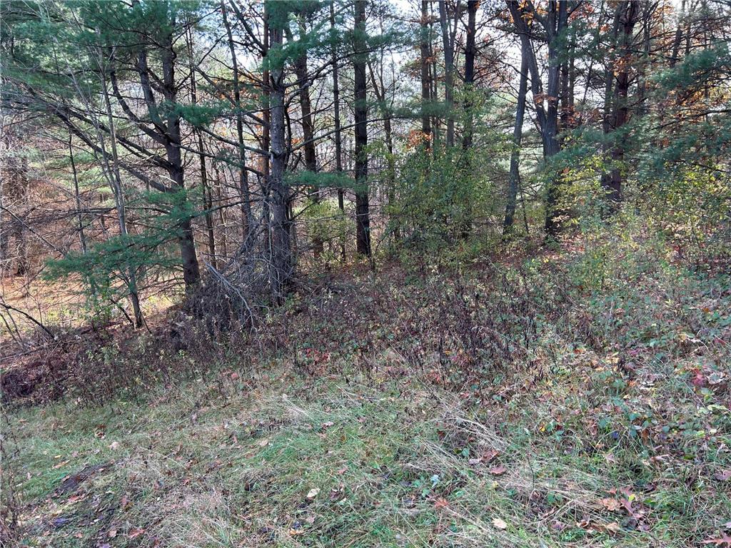 1888 80th Street Somerset WI 54025 6620079 image22