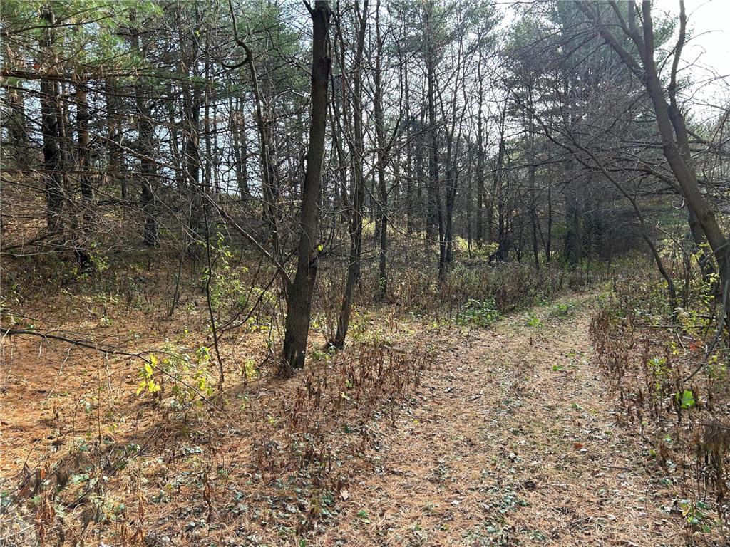 1888 80th Street Somerset WI 54025 6620079 image3