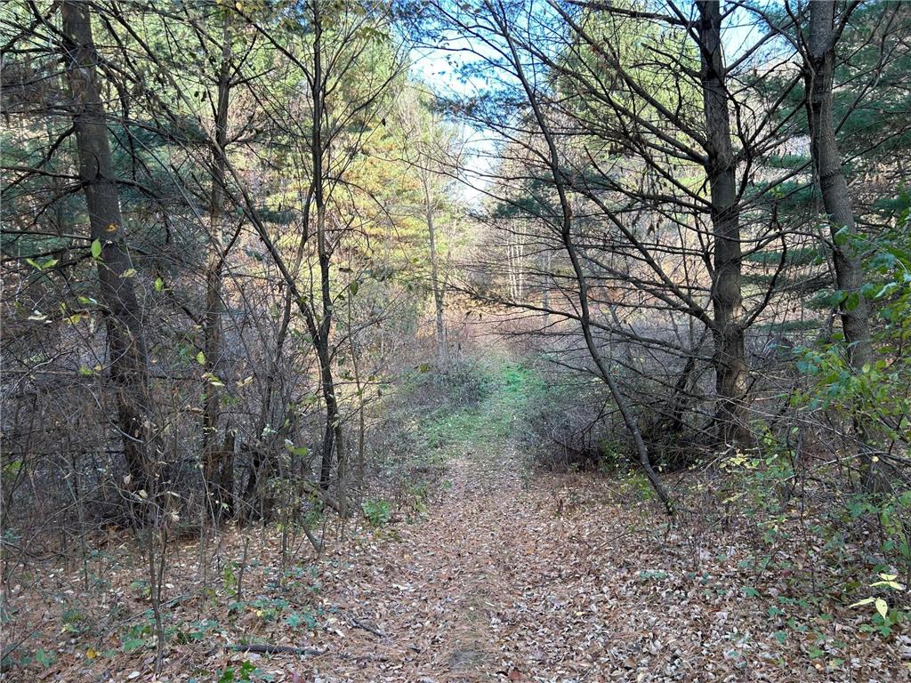 1888 80th Street Somerset WI 54025 6620079 image4