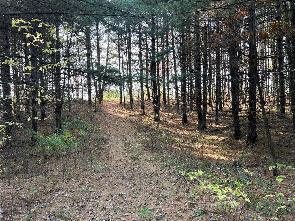 1888 80th Street Somerset WI 54025 6620079 image5