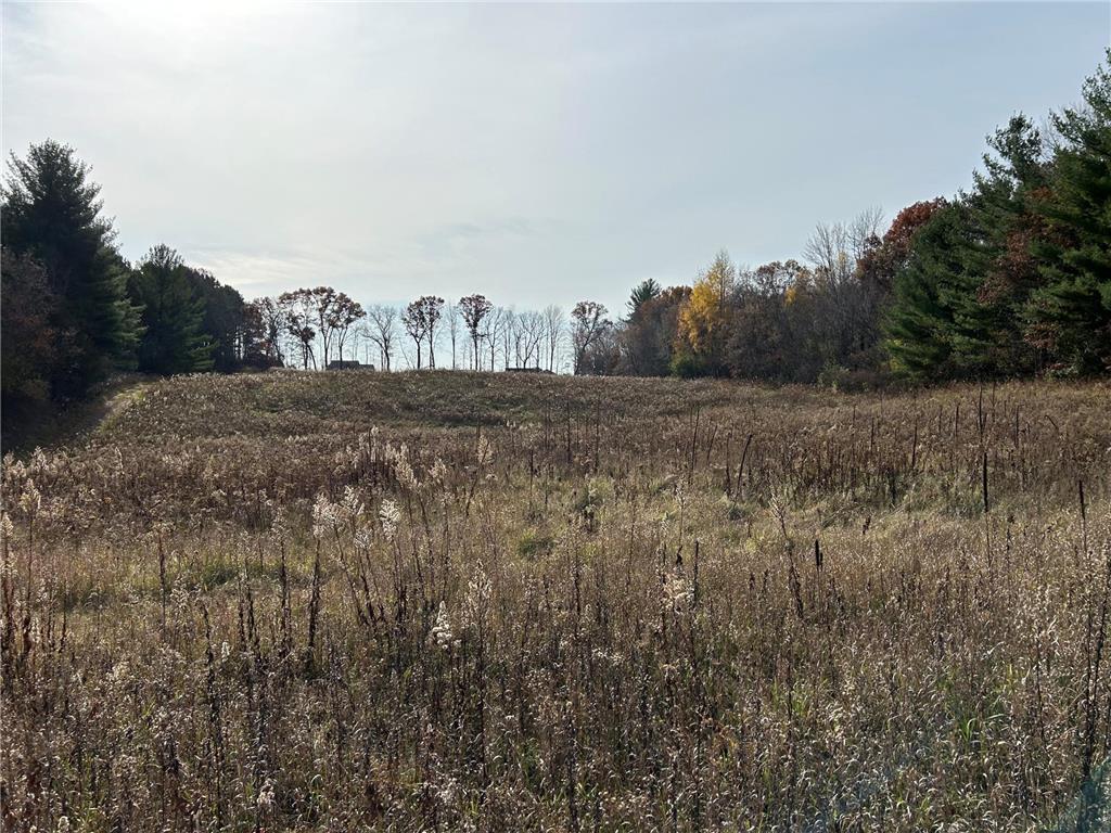 1888 80th Street Somerset WI 54025 6620079 image6