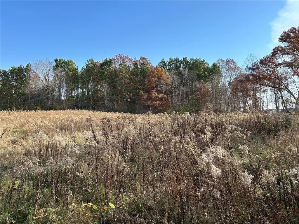 1888 80th Street Somerset WI 54025 6620079 image8