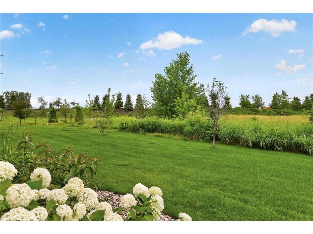 1888 Oakpointe Drive Waconia MN 55387 7106345 image73