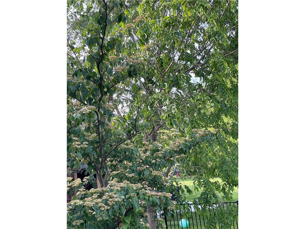1892 Shannon Oaks Boulevard NE Rochester MN 55906 7056445 image7