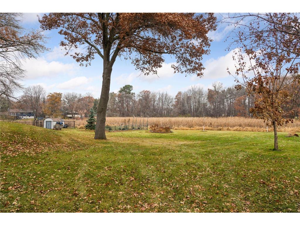 18922 Yalta Street NE East Bethel MN 55092 7040274 image44