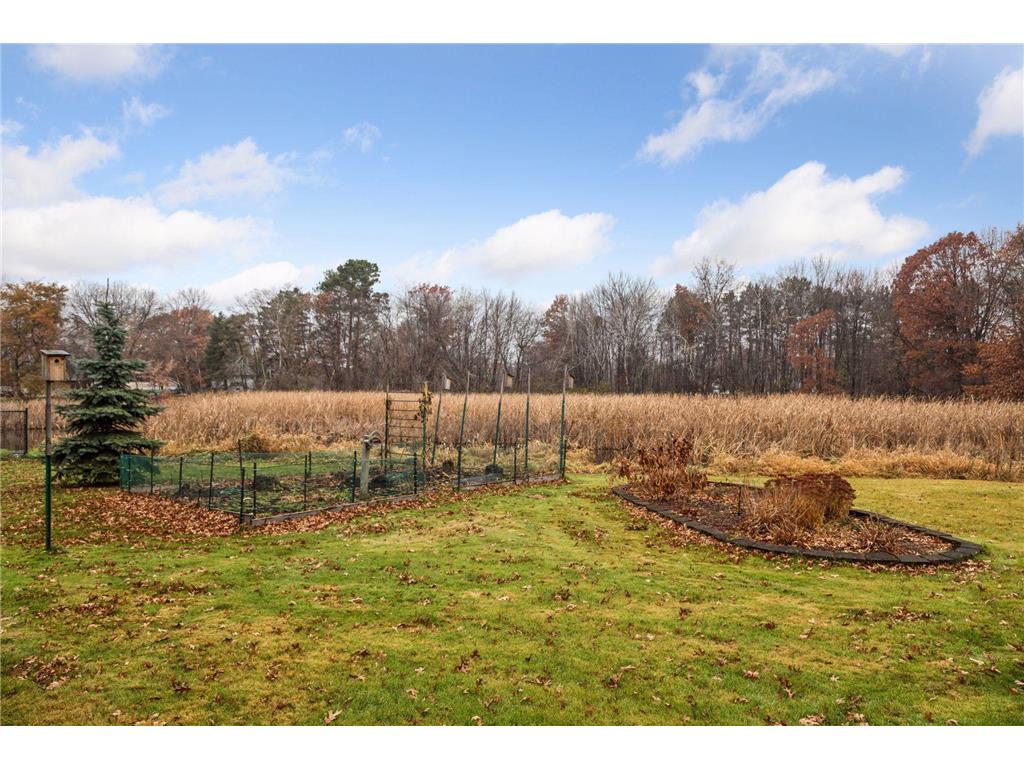 18922 Yalta Street NE East Bethel MN 55092 7040274 image46