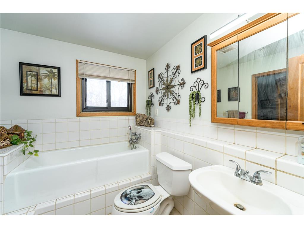 18928 620th Street Wasioja Twp MN 55927 7001905 image12