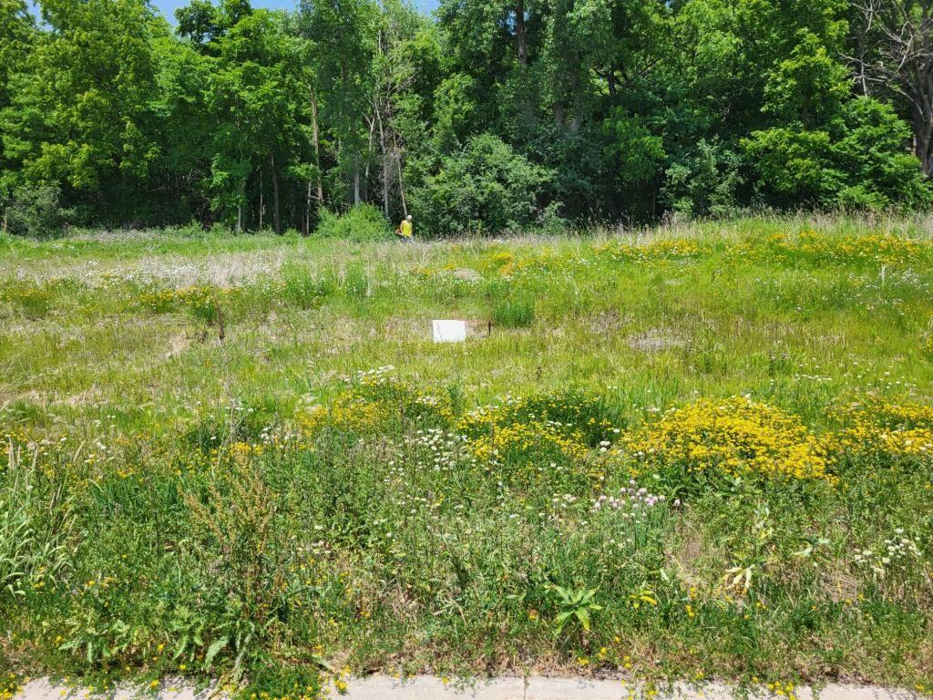 1893 Rocky Creek Drive NE Rochester MN 55906 6388507 image1