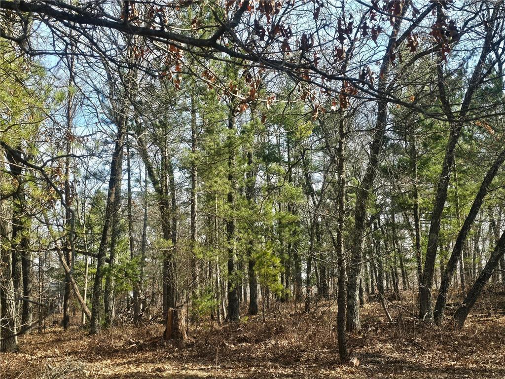 1894 S Lost Lake Road Webb Lake WI 54830 7041836 image26