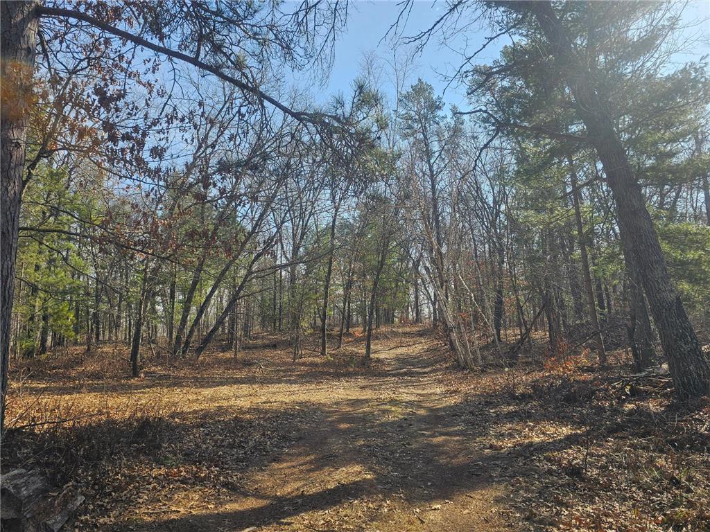 1894 S Lost Lake Road Webb Lake WI 54830 7041836 image27