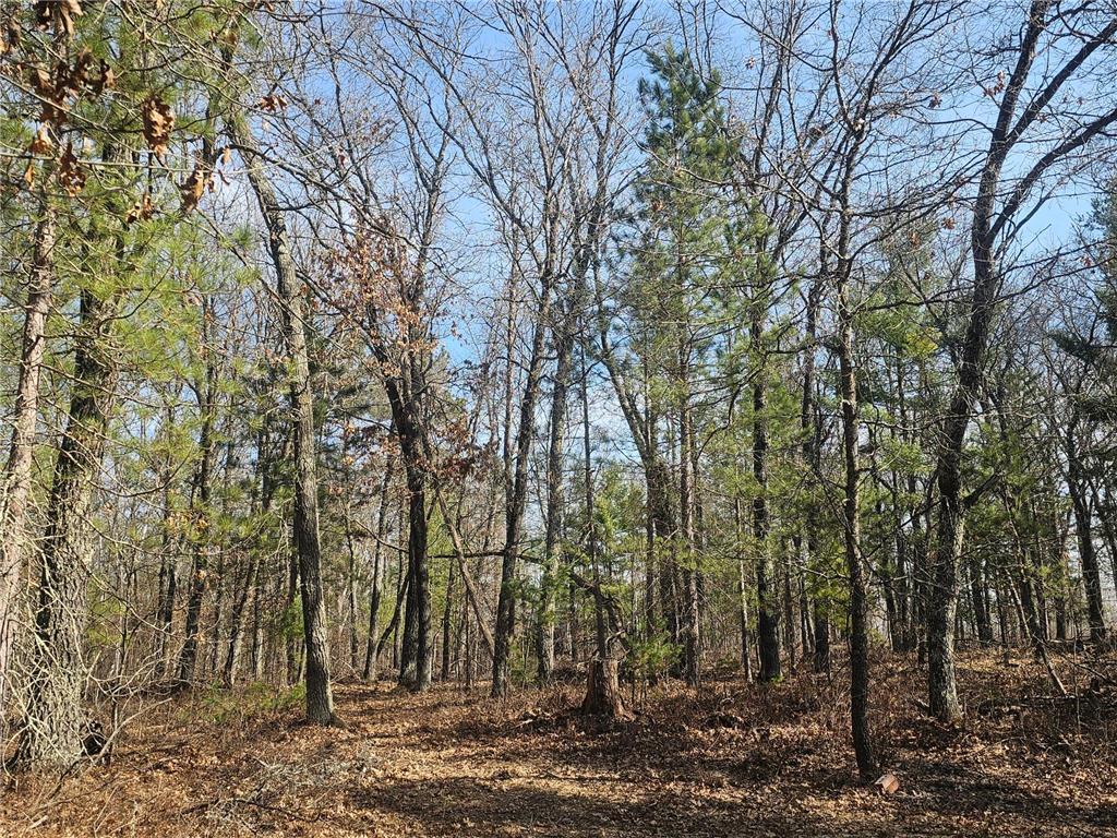 1894 S Lost Lake Road Webb Lake WI 54830 7041836 image29