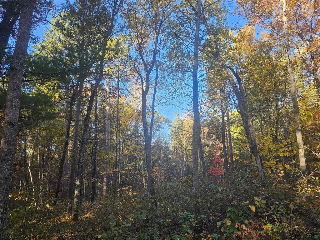 1894 S Lost Lake Road Webb Lake WI 54830 7041836 image32