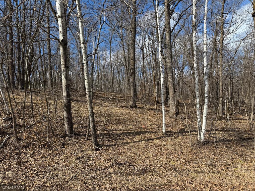 18958 Sugarbush Circle Kathio Twp MN 56450 7065592 image26