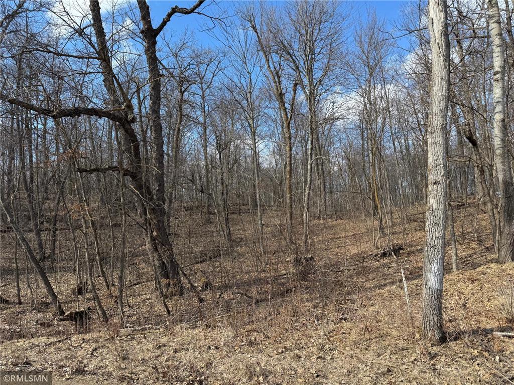 18958 Sugarbush Circle Kathio Twp MN 56450 7065592 image27