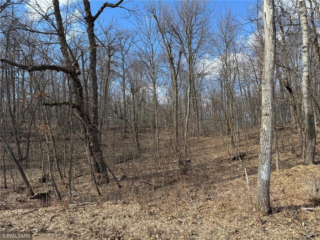 18958 Sugarbush Circle Kathio Twp MN 56450 7065592 image28