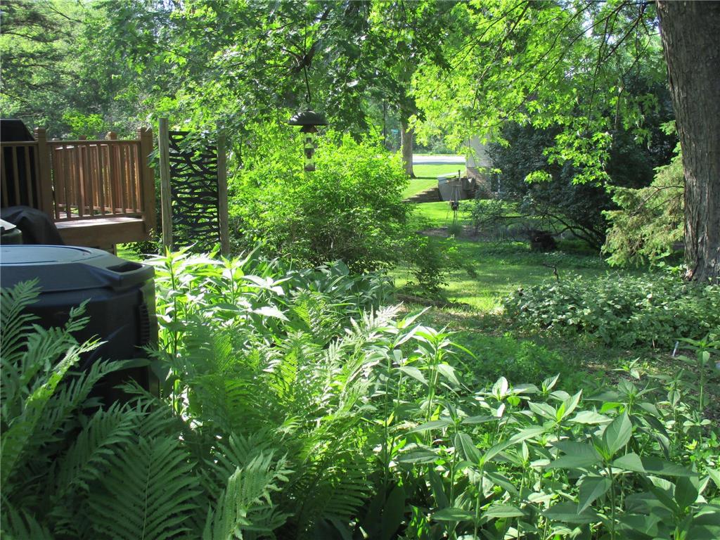 1896 Walter Street Maplewood MN 55109 7074582 image22