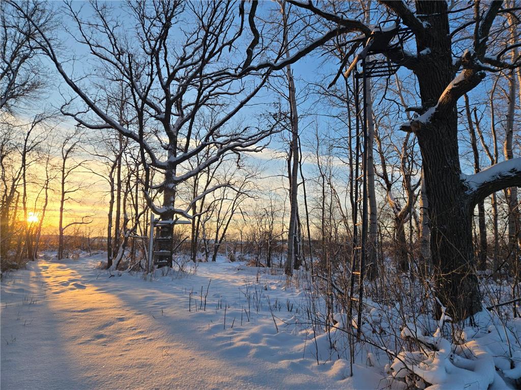 18987 N Hidden Acres Loop Pelican Rapids MN 56572 - Pelican River 6826440 image32