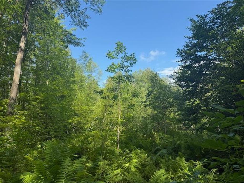 18xxx 160th Street Finlayson MN 55735 6760156 image1