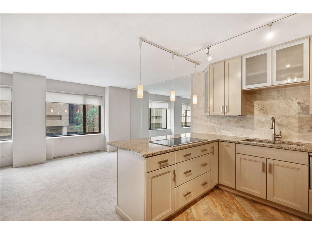 19 S 1st Street #B204 Minneapolis MN 55401 6351190 image1